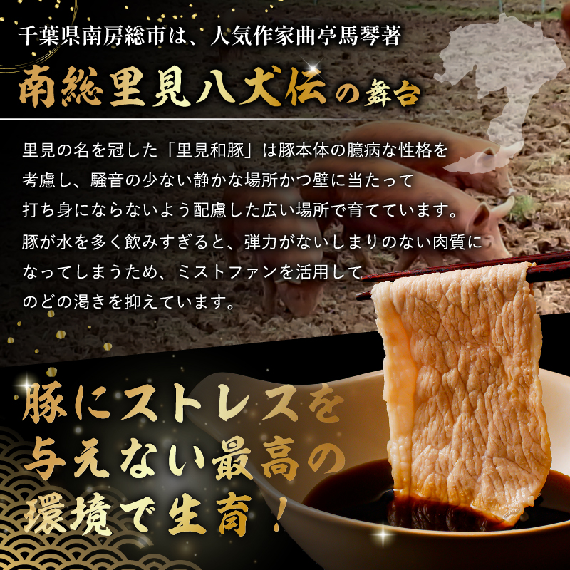 里見和豚　小分け　挽肉800g（100g×8パック）個別包装　トレイ不使用 mi0017-0007