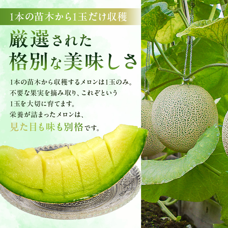 【定期便】【TVで紹介！】千葉アクアメロン1玉（1.2Kg）【3か月連続お届け】 mi0018-0004