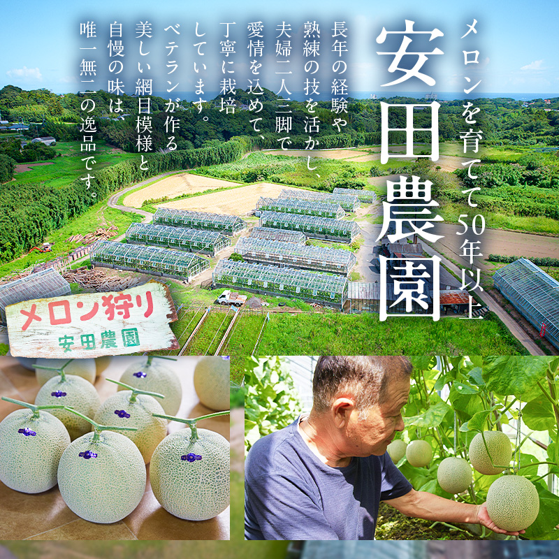 お漬物にぴったり　安田農園の摘果メロン（子メロン）1kg mi0018-0011