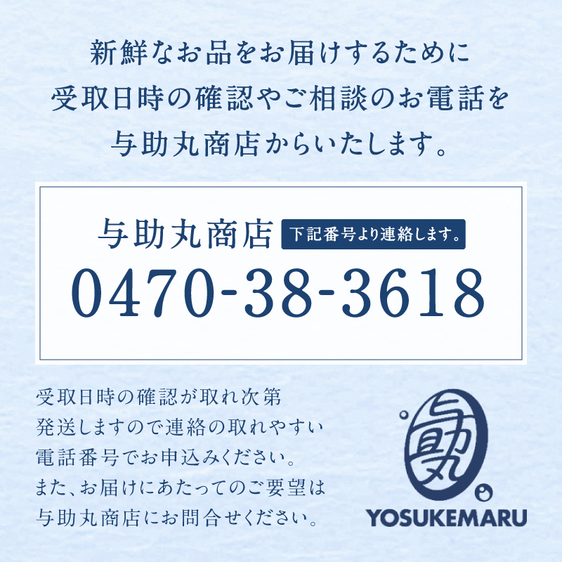 房州産伊勢えび(房州海老)総量 1kg【おがくず梱包】 mi0020-0001