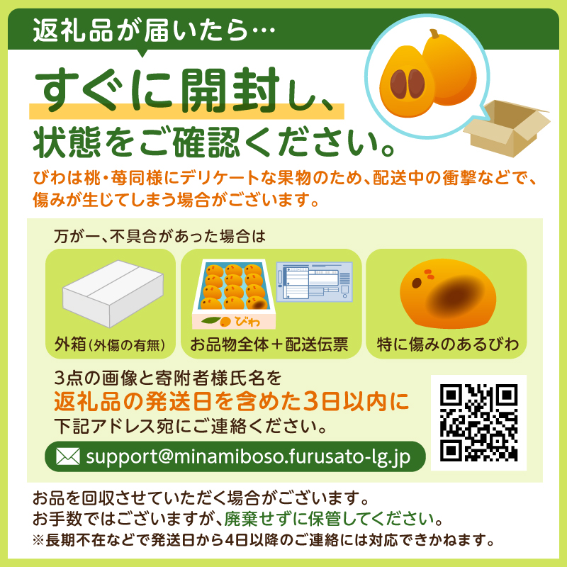 【先行受付 2026年5月中旬～6月下旬発送予定】房州びわ Ｌ･2Ｌサイズ混合袋びわ（袋入） mi0114-0002