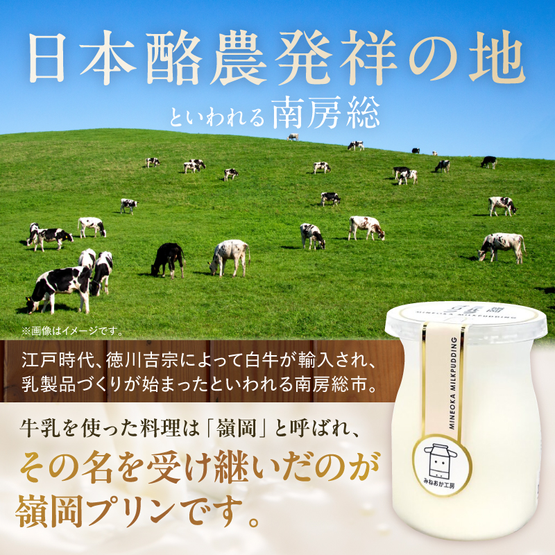 酪農発祥の里から嶺岡プリン詰合せ（プレーン２個・房州びわジュレ２個・いちごジュレ２個） mi0010-0016-5