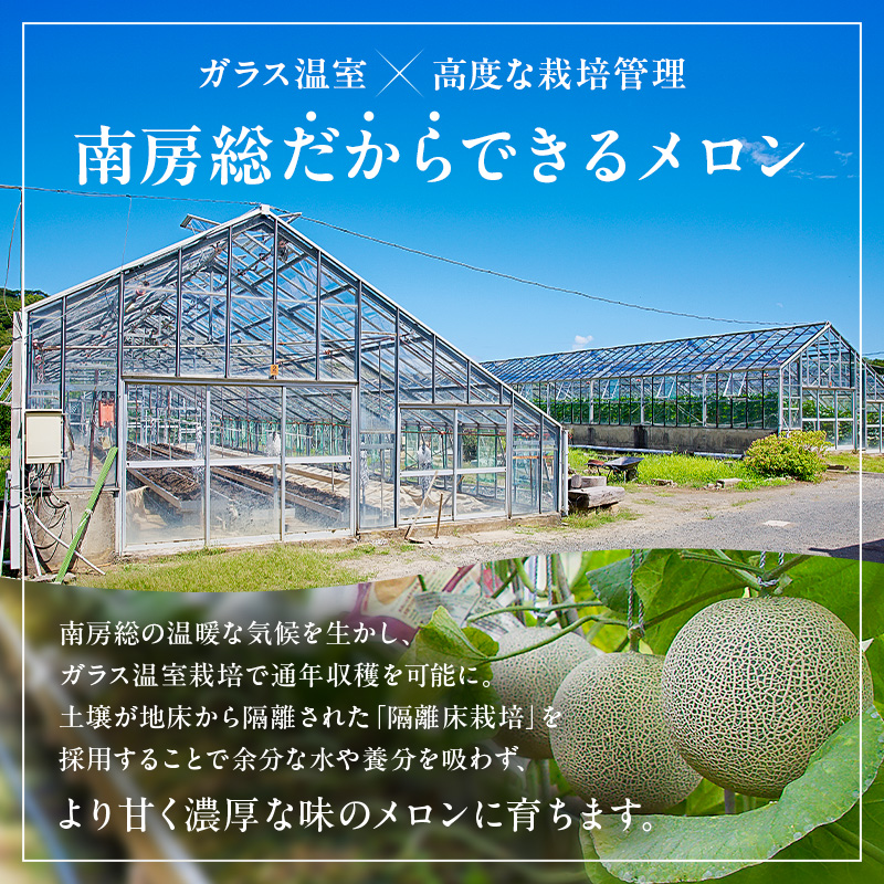 【TVで紹介！】南房総市産アクアメロン（マスクメロン）1個 mi0018-0001
