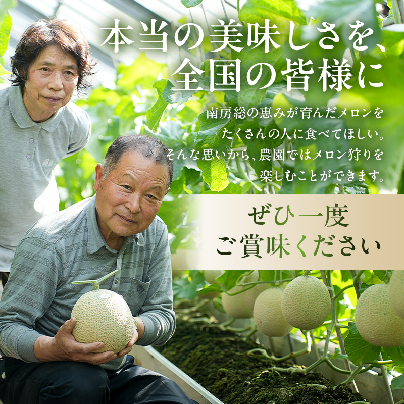 お漬物にぴったり　安田農園の摘果メロン（子メロン）1kg mi0018-0011