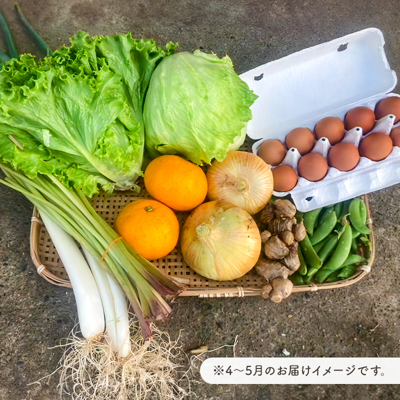 4月発送　農薬・化学肥料を持たない農家の野菜（7～10種類）と 平飼有精卵のセット mi0036-0017-04