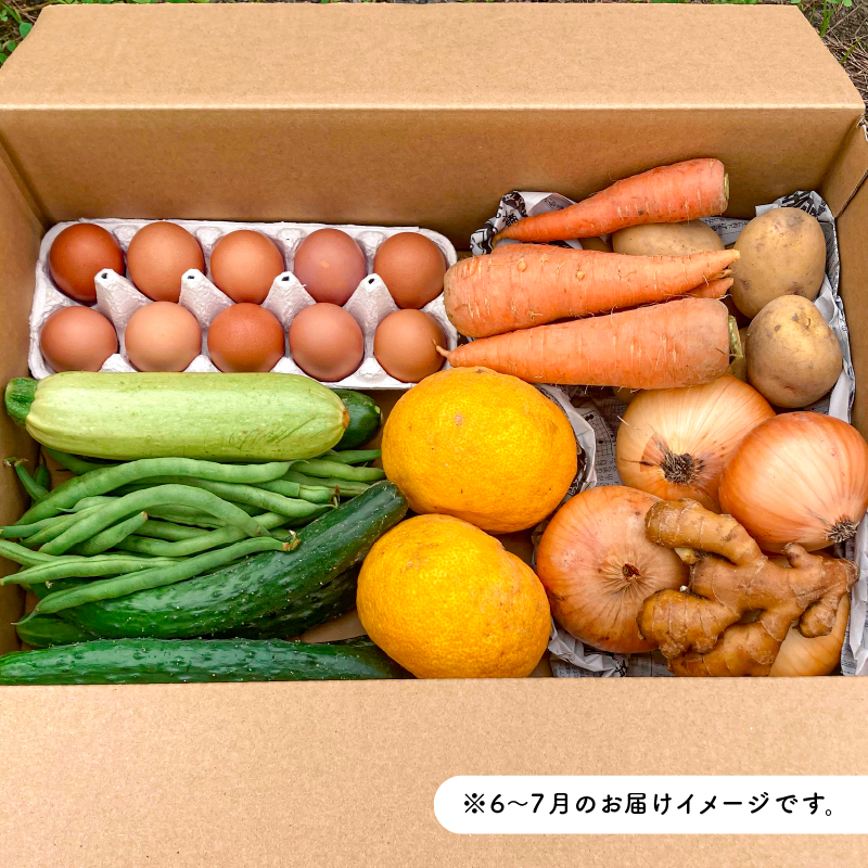 6月発送　農薬・化学肥料を持たない農家の野菜（7～10種類）と 平飼有精卵のセット mi0036-0017-06