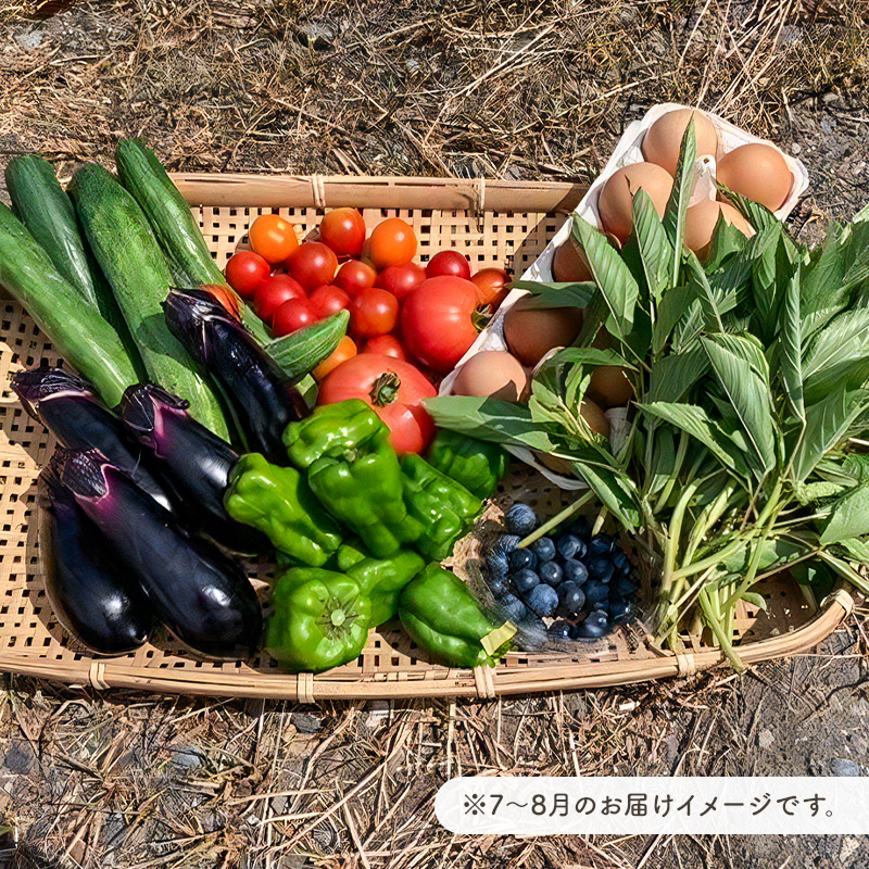 8月発送　農薬・化学肥料を持たない農家の野菜（7～10種類）と 平飼有精卵のセット mi0036-0017-08
