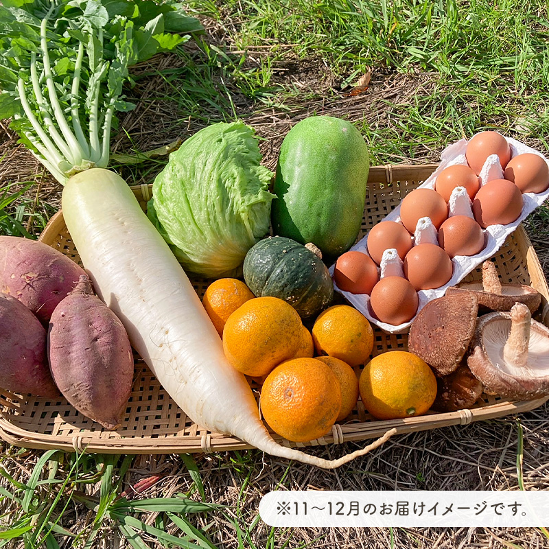 12月発送　農薬・化学肥料を持たない農家の野菜（7～10種類）と 平飼有精卵のセット mi0036-0017-12