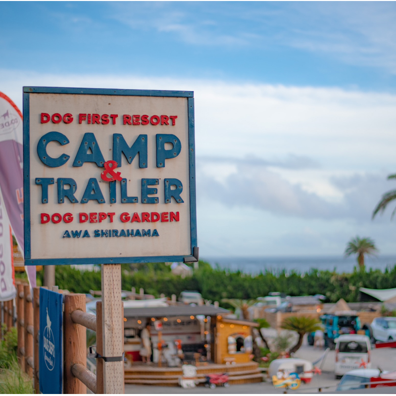 DOG DEPT RESORT 安房白浜/館山犬石 共通チケット 宿泊クーポン券（12,000円分） mi0111-0001-3