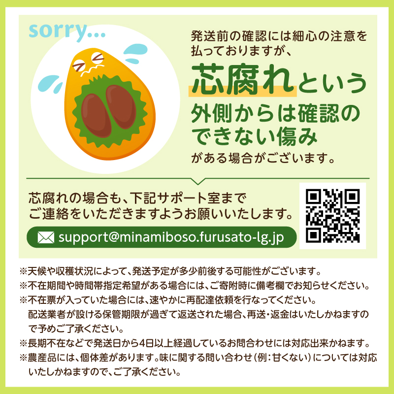 【先行受付 2026年5月中旬～6月下旬発送予定】房州びわ 2Lサイズ以上 12個（化粧箱入） mi0114-0001