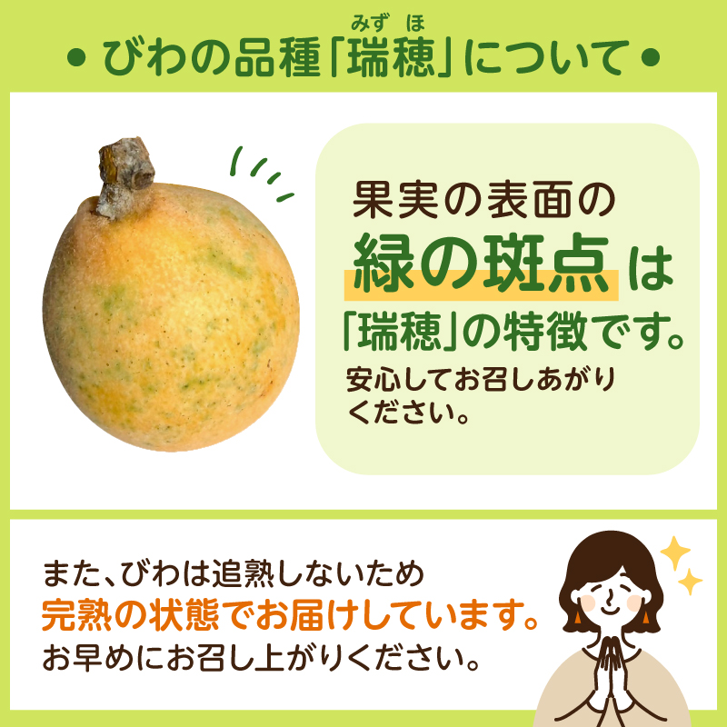 【先行受付 2026年5月下旬～6月中旬発送予定】≪訳あり≫ 生産者直送 房州びわ1キロ袋入り（多少きずあり） mi0044-0013