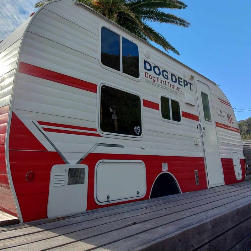 DOG DEPT RESORT 安房白浜/館山犬石 共通チケット 宿泊クーポン券（9,000円分） mi0111-0001-2