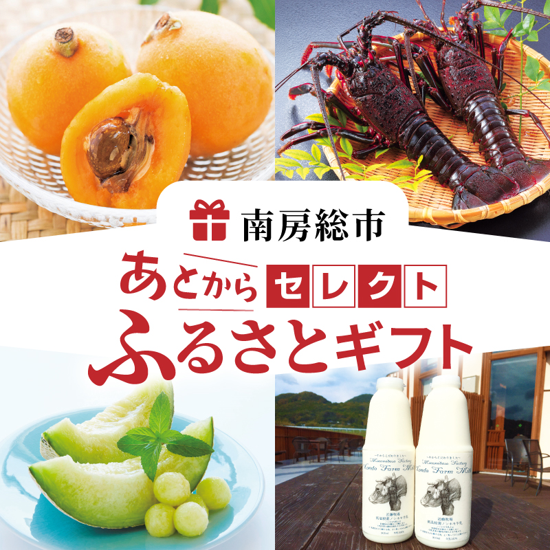 あとからセレクト【ふるさとギフト】300,000円 mi0000-0010