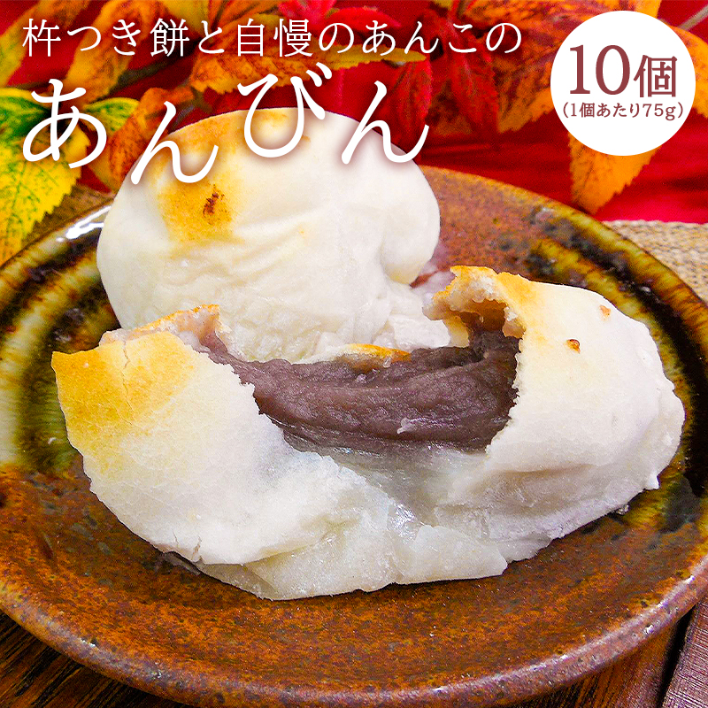 杵つき餅と自慢のあんこの｢あんびん（こし餡）｣10個 mi0002-0013
