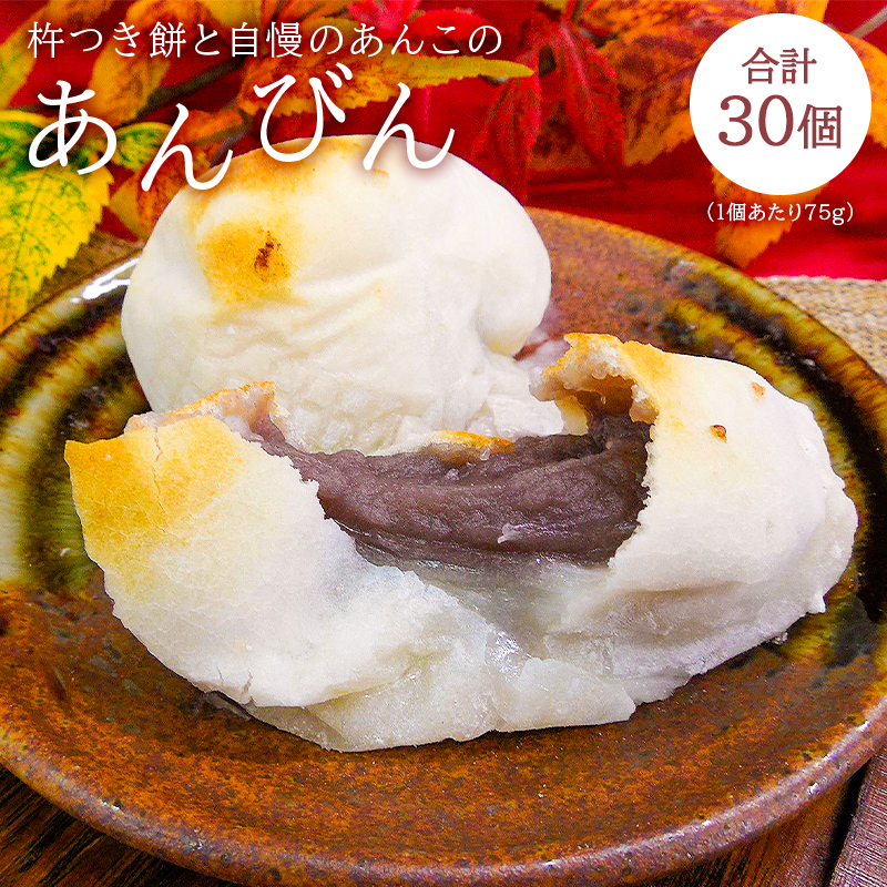 杵つき餅と自慢のあんこの｢あんびん（こし餡）｣30個（5個入り袋×6袋） mi0002-0015