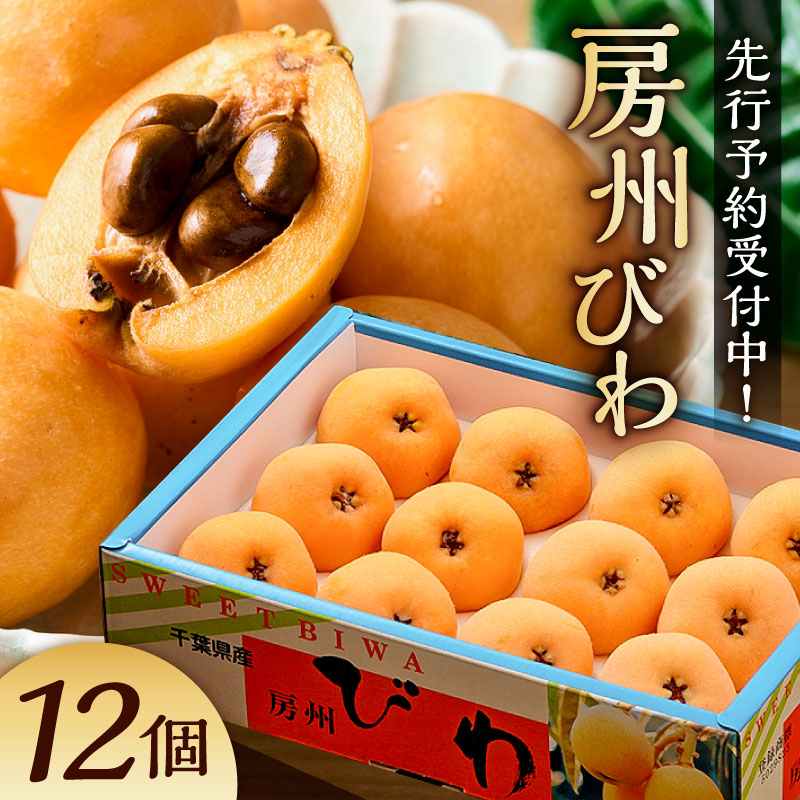 【先行受付 2026年5月下旬～6月中旬発送予定】房州びわ(露地)12粒入2Lサイズ以上1箱 mi0010-0010