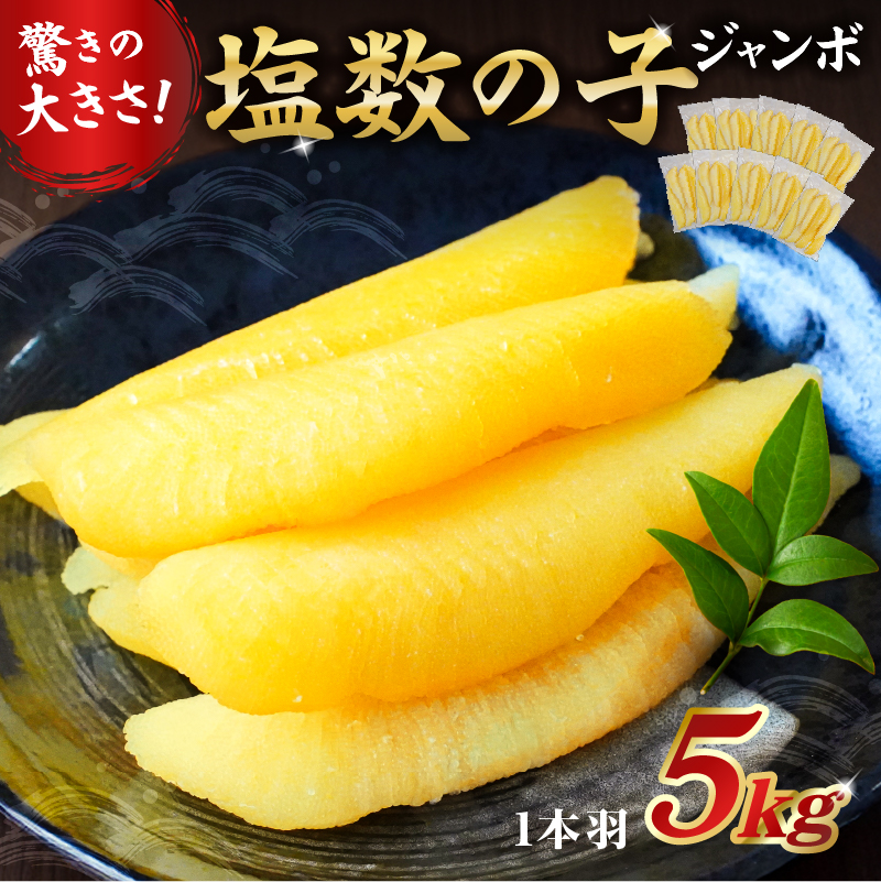 塩数の子ジャンボ　1本羽　5kg　小分け（500g×10袋） mi0012-0072