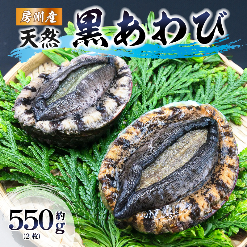 【先行受付 2026年5月～9月上旬発送予定】房州産天然黒あわび約550g mi0014-0007