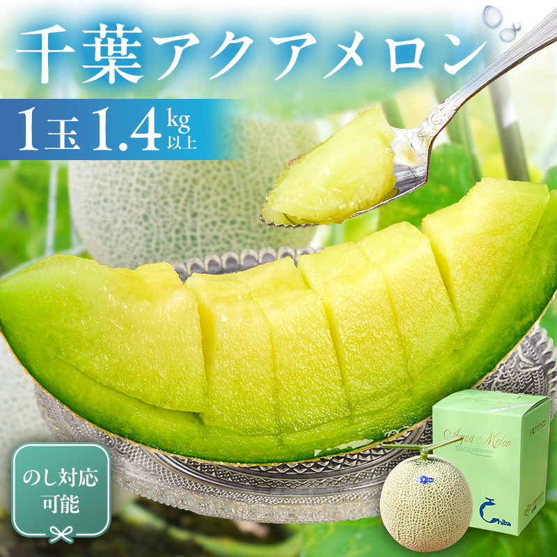 【TVで紹介！】のし対応可能 千葉アクアメロン(マスクメロン)1玉 mi0018-0002