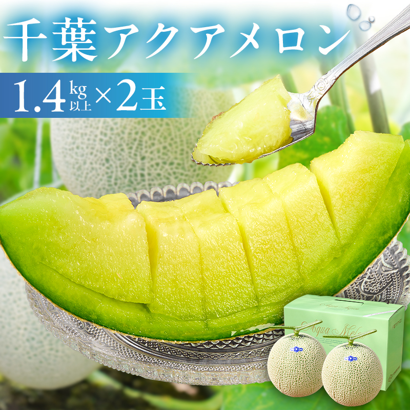 【TVで紹介！】千葉アクアメロン(マスクメロン)2玉【まとめてお届け】 mi0018-0003