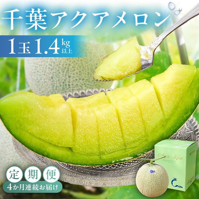 【定期便】【TVで紹介！】千葉アクアメロン1玉（1.4Kg）【4か月連続お届け】 mi0018-0005