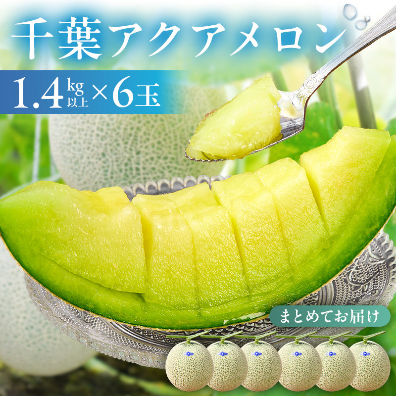 【TVで紹介！】千葉アクアメロン(マスクメロン)6玉【まとめてお届け】 mi0018-0006