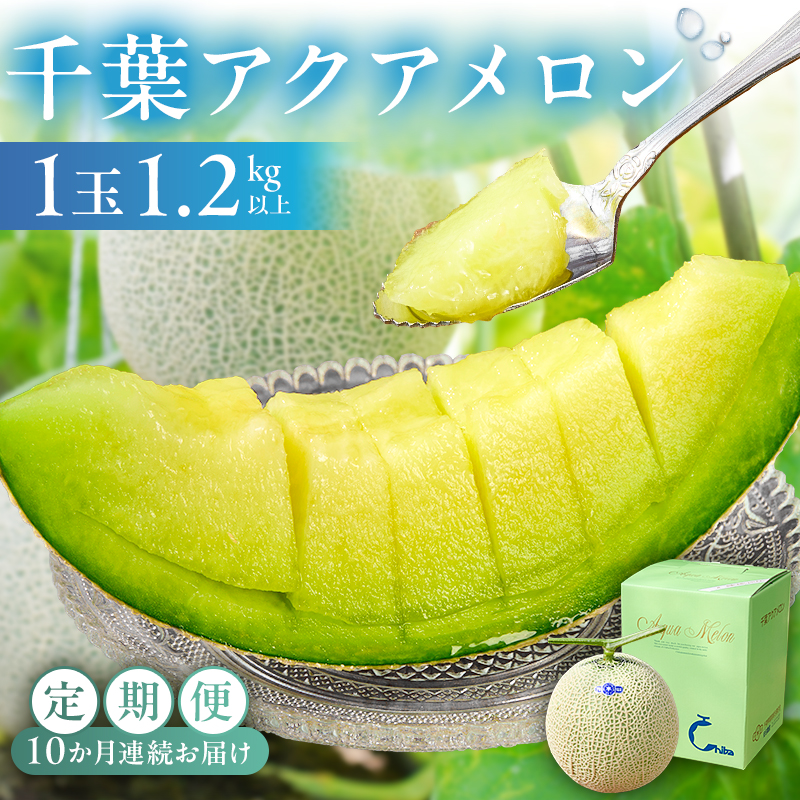 【定期便】【TVで紹介！】千葉アクアメロン1玉（1.2Kg）【10ヶ月連続お届け】 mi0018-0007