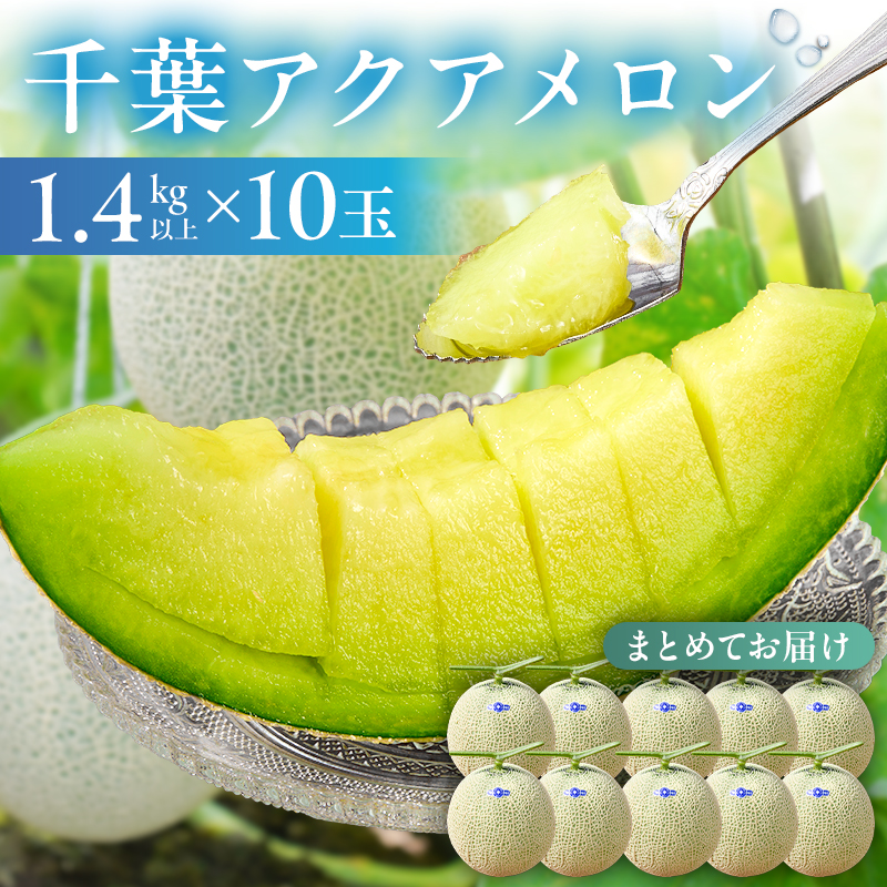 【TVで紹介！】千葉アクアメロン(マスクメロン)10玉【まとめてお届け】 mi0018-0008