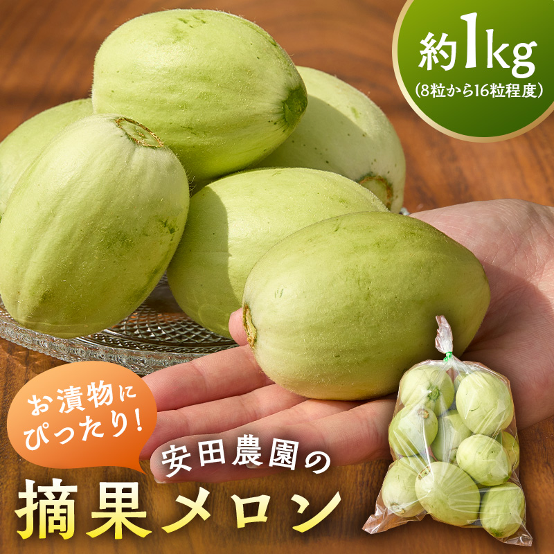 お漬物にぴったり　安田農園の摘果メロン（子メロン）1kg mi0018-0011