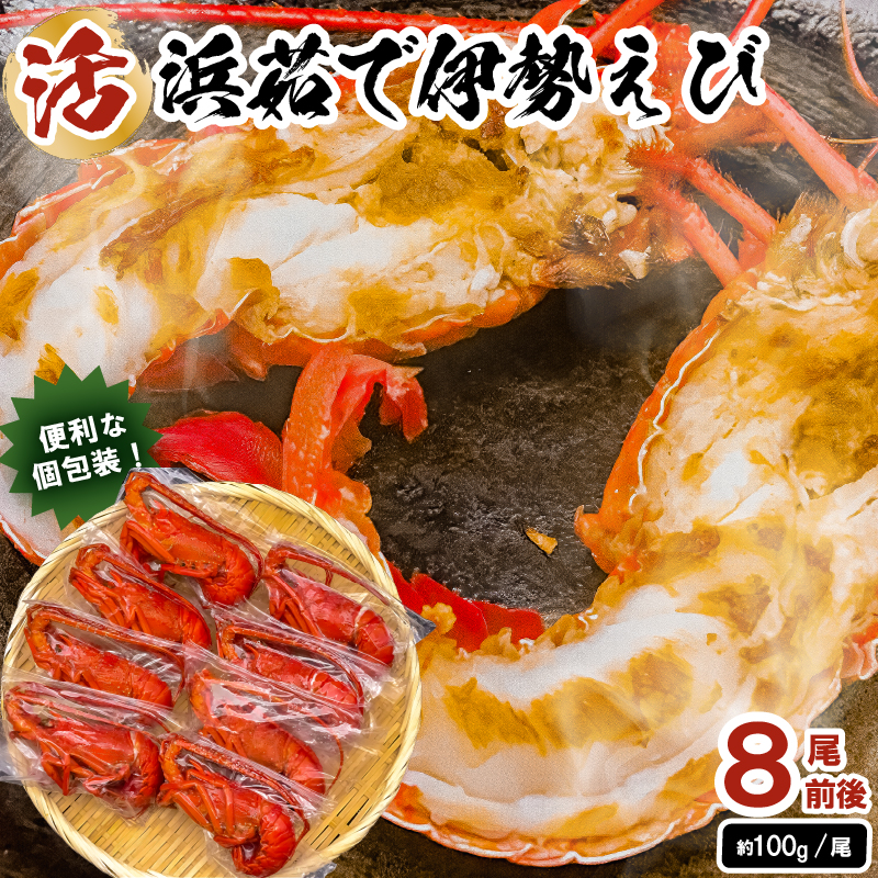 【天然】ボイル冷凍伊勢海老　約100g×8尾前後 mi0020-0002