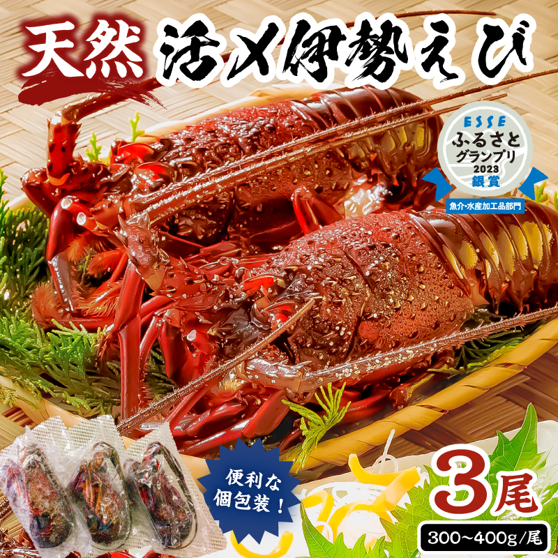 【天然】甘み凝縮！活〆冷凍伊勢海老900ｇ以上（300ｇ×3尾） mi0020-0003