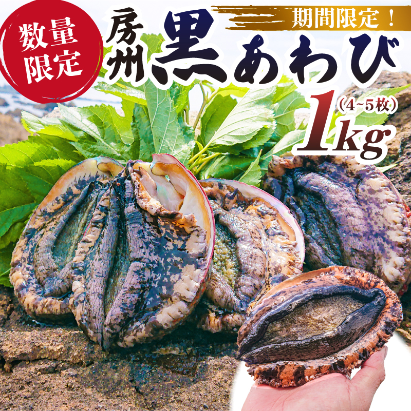 【先行受付 2026年5月～9月初旬発送予定】【数量限定】房州黒あわび 1kg（4～5枚） mi0020-0010