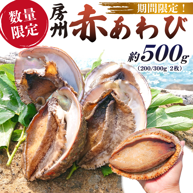 【先行受付 2026年5月～9月初旬発送予定】【数量限定】房州 赤あわび 約500g (200/300g × 2枚) mi0020-0011