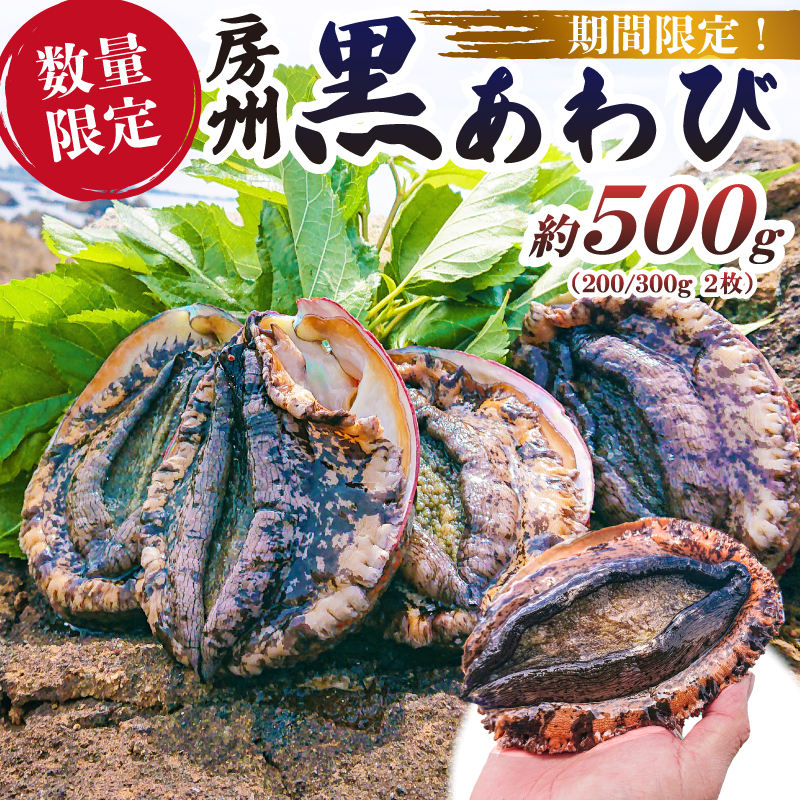 【先行受付 2026年5月～9月初旬発送予定】【数量限定】房州 黒あわび 約500g (200/300g × 2枚) mi0020-0012