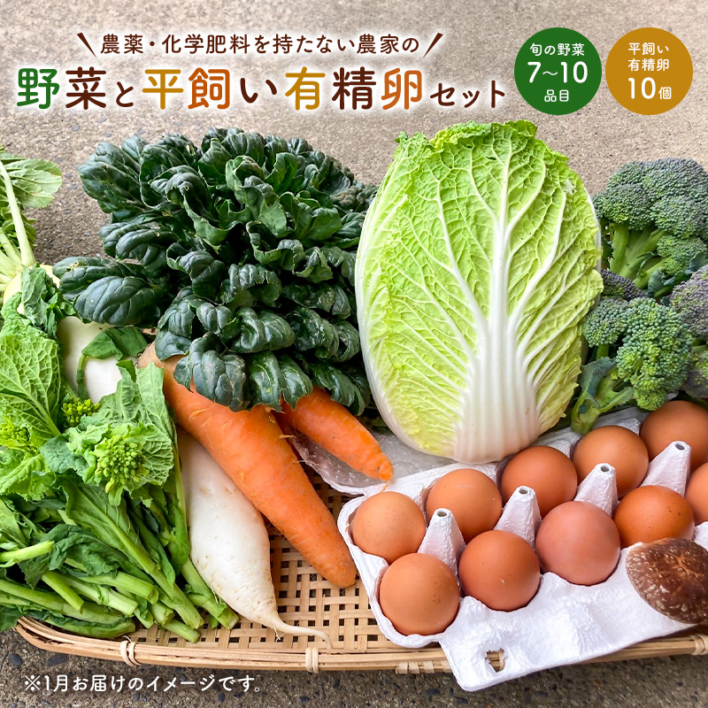 7月発送　農薬・化学肥料を持たない農家の野菜（7～10種類）と 平飼有精卵のセット mi0036-0017-07