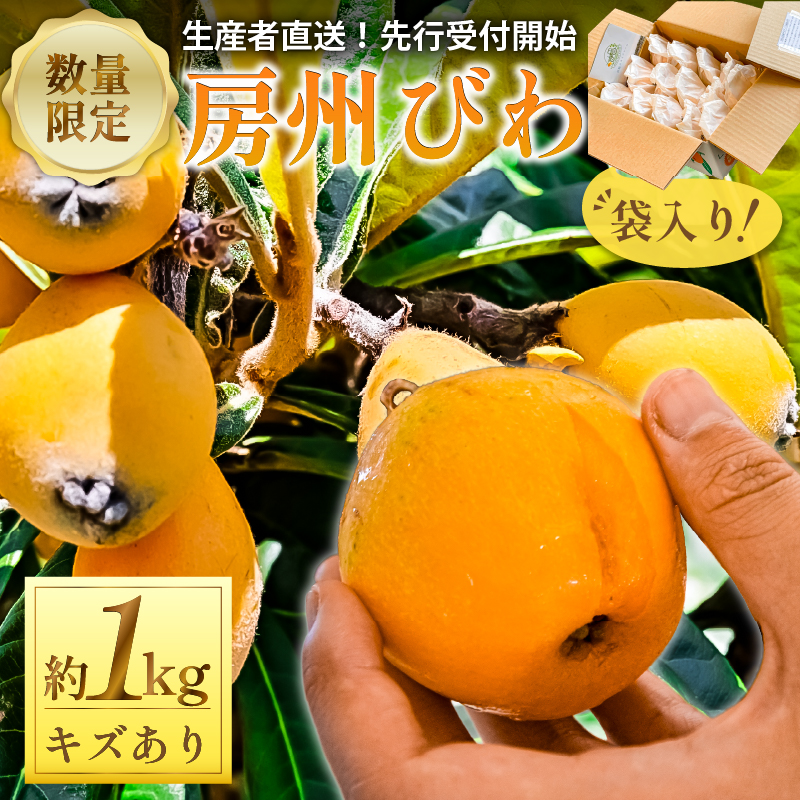 【先行受付 2026年5月下旬～6月中旬発送予定】≪訳あり≫ 生産者直送 房州びわ1キロ袋入り（多少きずあり） mi0044-0013