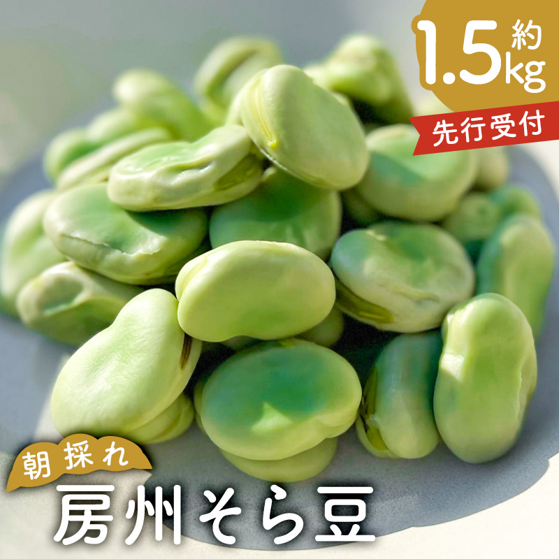 【先行受付 2026年4月25日頃～5月中旬発送予定】朝採れ房州そら豆1.5kg mi0046-0003