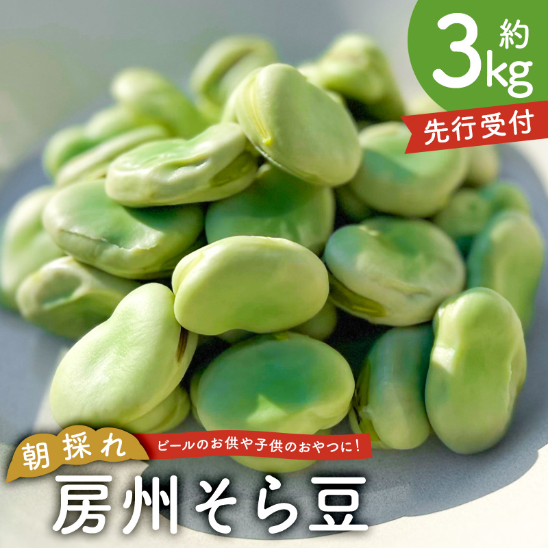 【先行受付 2026年4月25日頃～5月中旬発送予定】朝採れ房州そら豆3kg mi0046-0004