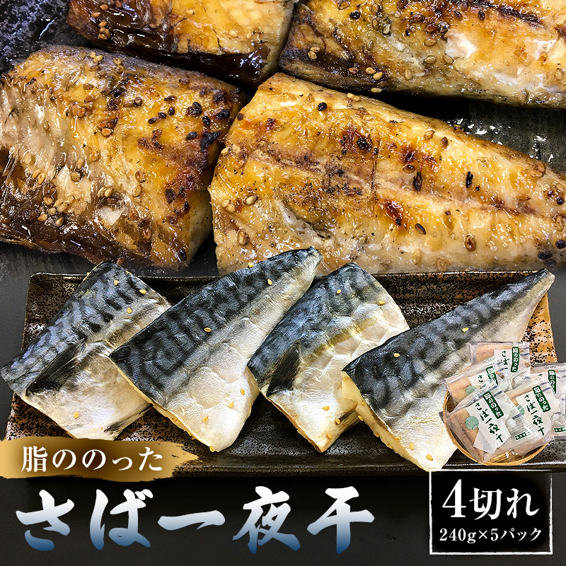 脂ののったさば一夜干　4切れ240g×5パック mi0050-0001