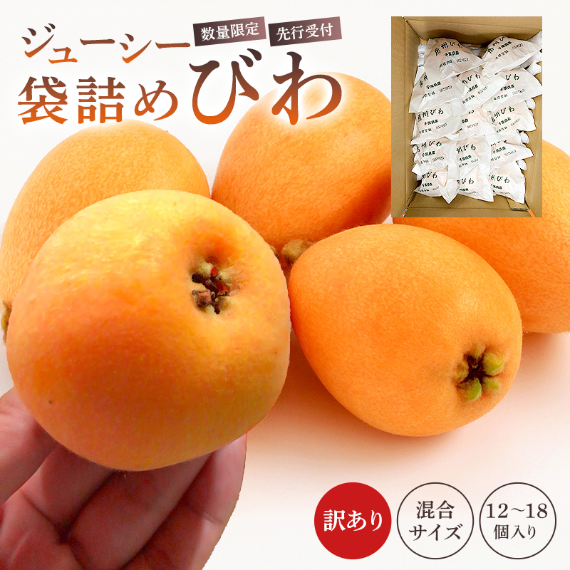 【先行受付 2026年5月中旬～6月中旬発送予定】【数量限定】生産者直送　ジューシー袋詰めびわ（訳あり混合サイズ12～18個）mi0057-0001