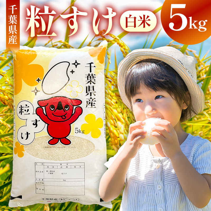 【2025年度産】【新米】千葉県産粒すけ 白米 5kg mi0068-0006