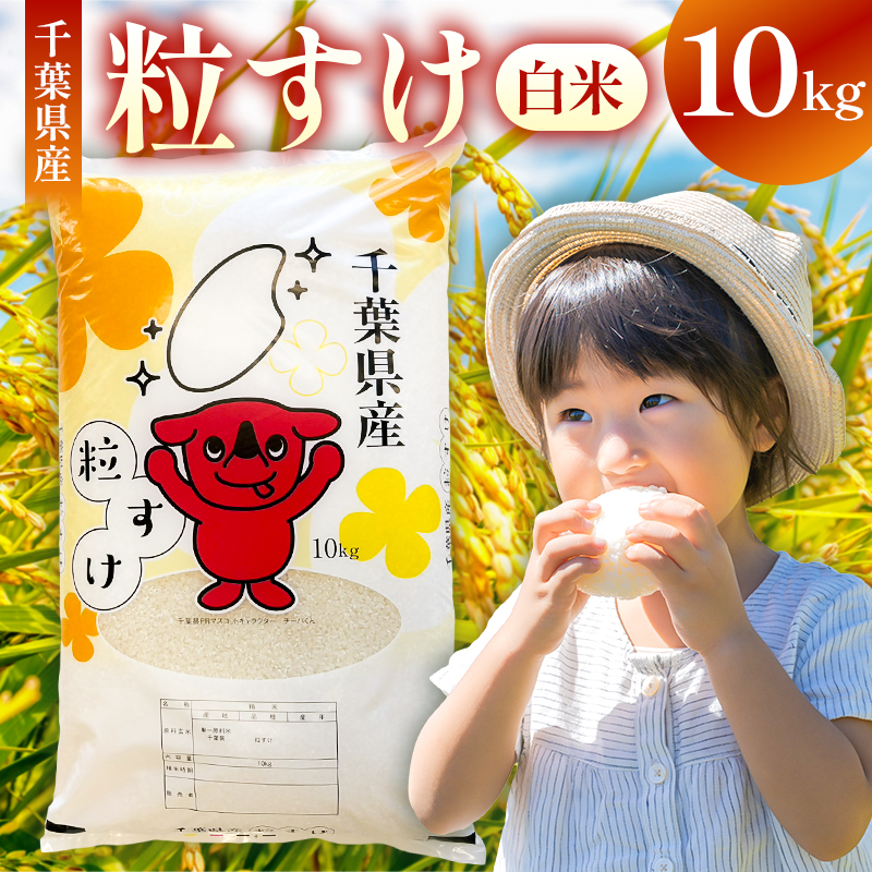 【2025年度産】千葉県産粒すけ 白米 10kg mi0068-0007