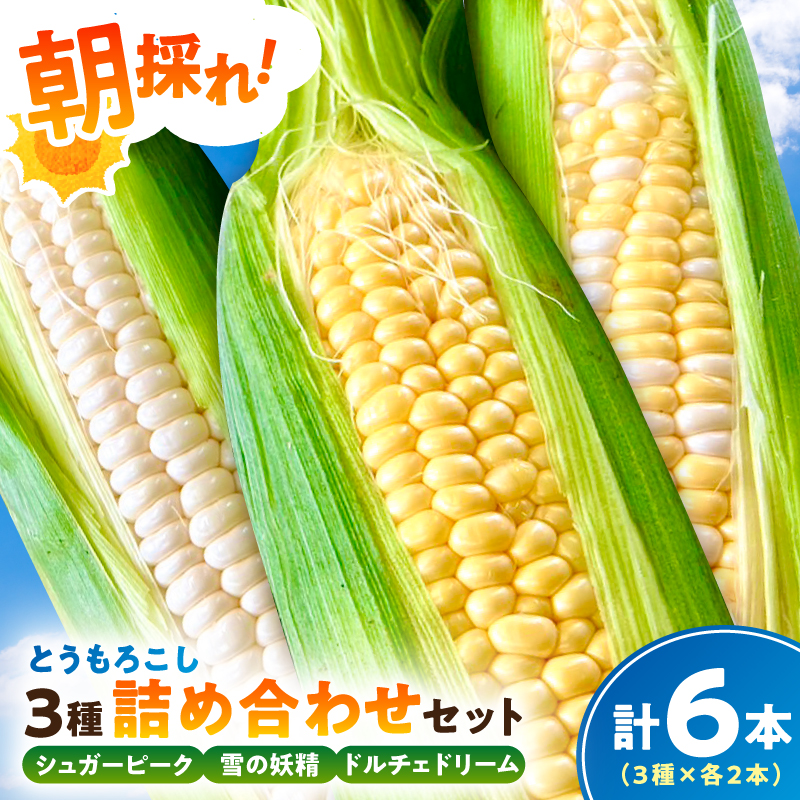 【先行受付 2026年6月中旬～8月上旬発送予定】【千葉県産】朝採れとうもろこし3種詰め合わせセット（3種×各2本 計6本） mi0113-0002