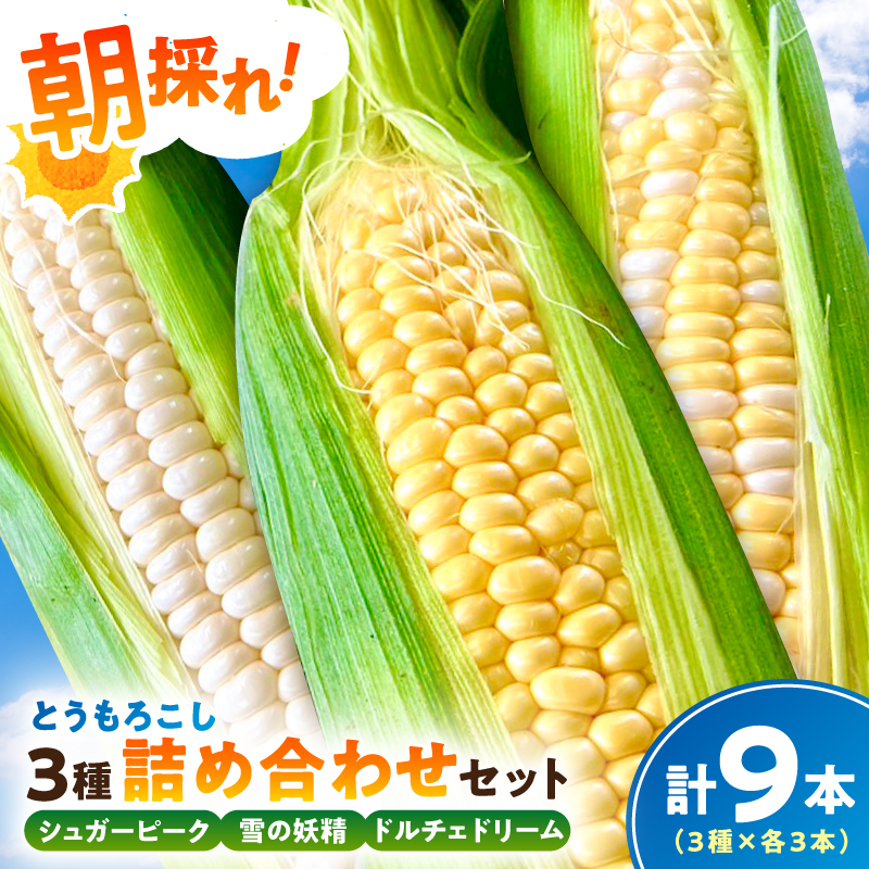 【先行受付 2026年6月中旬～8月上旬発送予定】【千葉県産】朝採れとうもろこし3種詰め合わせセット（3種×各3本 計9本） mi0113-0003