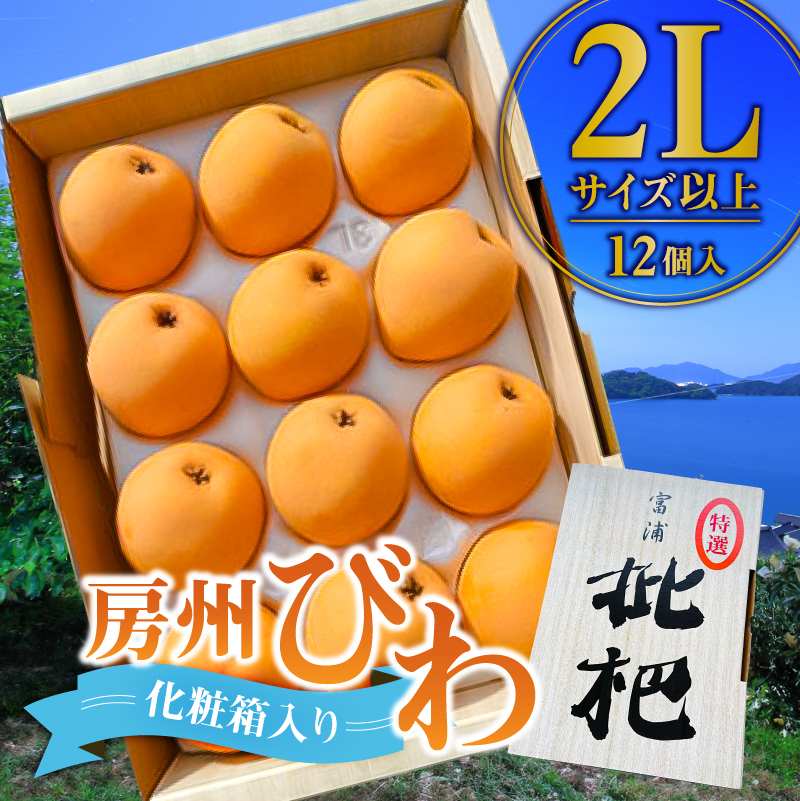 【先行受付 2026年5月中旬～6月下旬発送予定】房州びわ 2Lサイズ以上 12個（化粧箱入） mi0114-0001