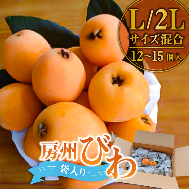 【先行受付 2026年5月中旬～6月下旬発送予定】房州びわ Ｌ･2Ｌサイズ混合袋びわ（袋入） mi0114-0002
