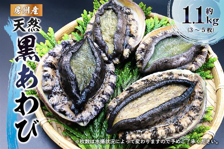 【先行受付 2026年5月～9月上旬発送予定】房州産天然黒あわび約1.1kg mi0014-0009