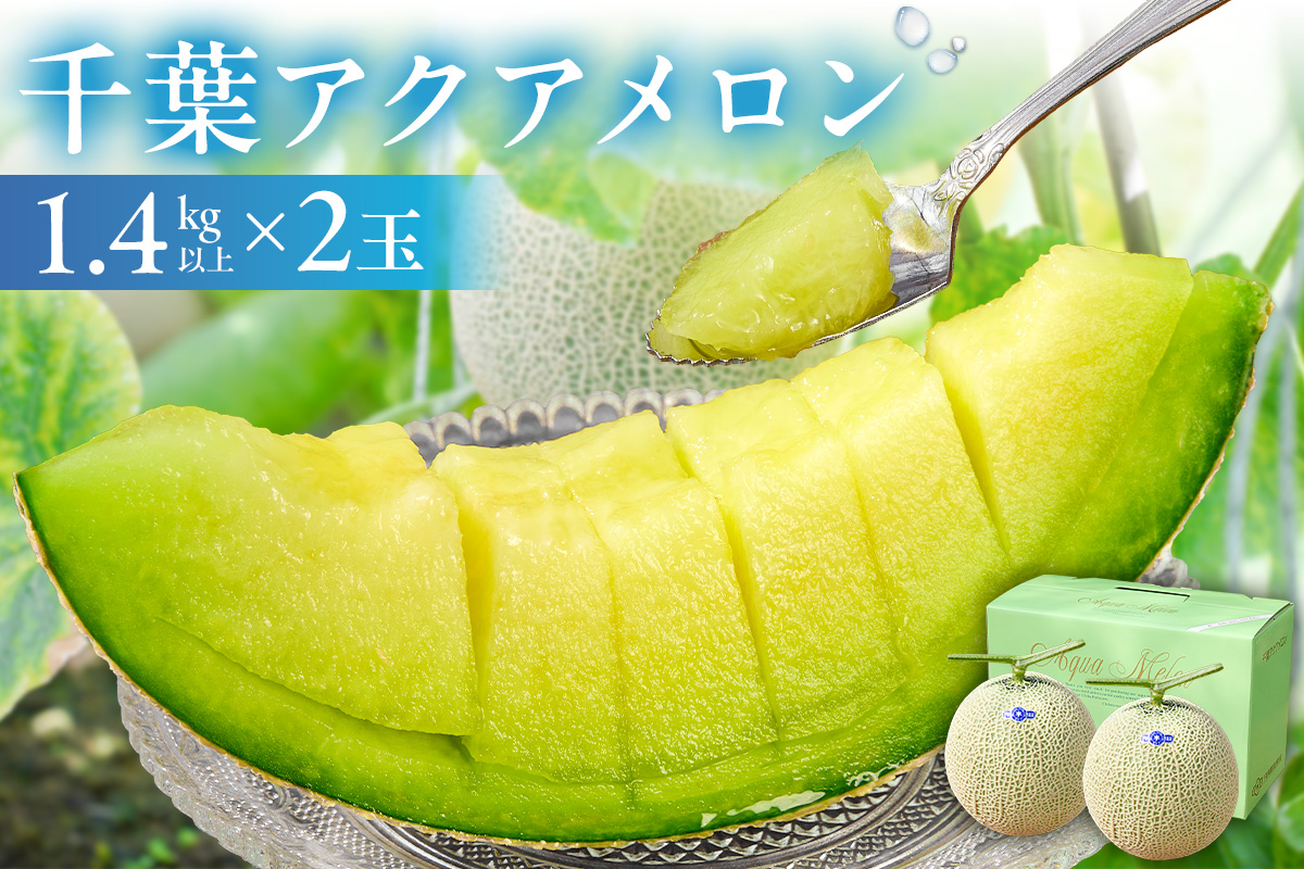 【TVで紹介！】千葉アクアメロン(マスクメロン)2玉【まとめてお届け】 mi0018-0003
