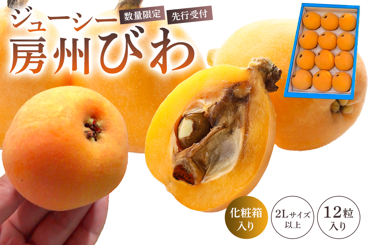 [先行受付 2026年5月中旬〜6月中旬発送予定][数量限定]生産者直送 ジューシー房州びわ(2Lサイズ以上)化粧箱入り mi