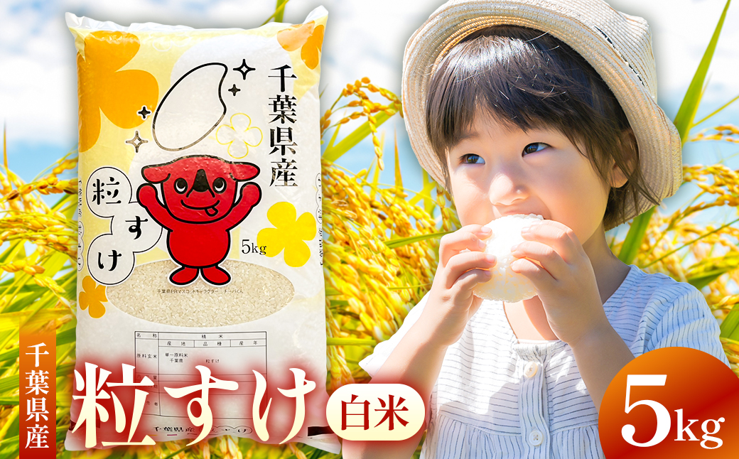 [2025年度産][新米]千葉県産粒すけ 白米 5kg mi
